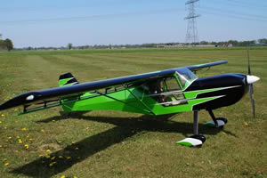 Baby Kitfox Model Kit